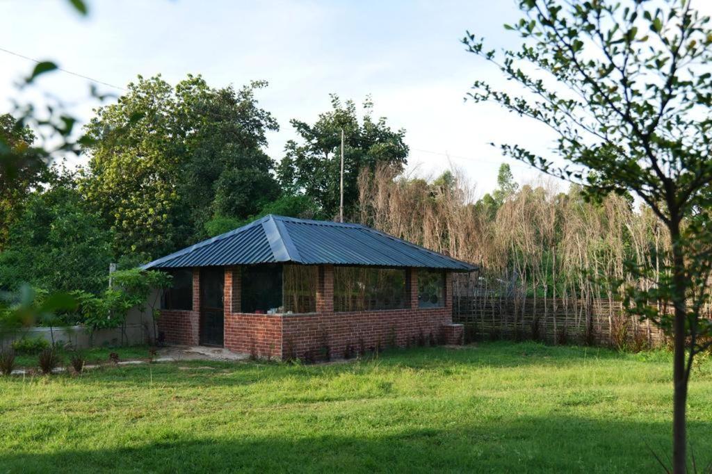 Jewel Of Jungle Apartman Tāla Kültér fotó